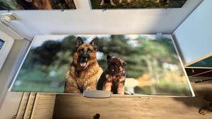 Deurstickers Deurstickers